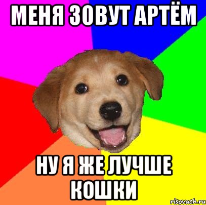 меня зовут артём ну я же лучше кошки, Мем Advice Dog