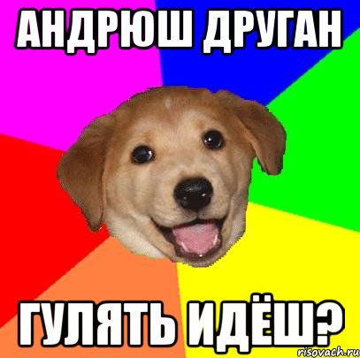 андрюш друган гулять идёш?, Мем Advice Dog