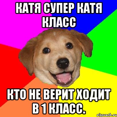 катя супер катя класс кто не верит ходит в 1 класс., Мем Advice Dog