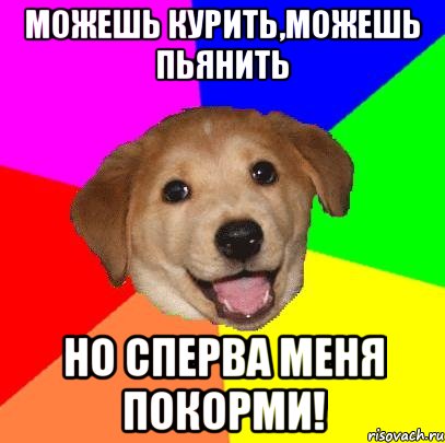 можешь курить,можешь пьянить но сперва меня покорми!, Мем Advice Dog