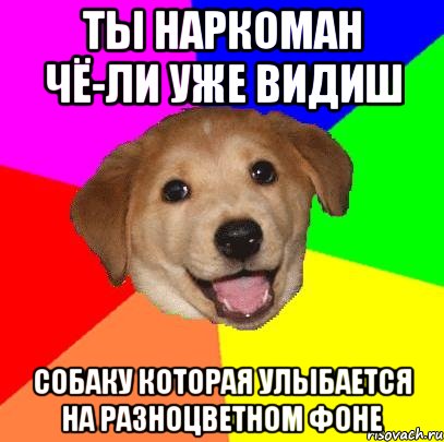 ты наркоман чё-ли уже видиш собаку которая улыбается на разноцветном фоне, Мем Advice Dog