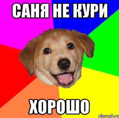 саня не кури хорошо, Мем Advice Dog