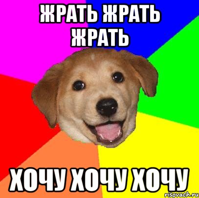 жрать жрать жрать хочу хочу хочу, Мем Advice Dog