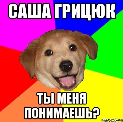 саша грицюк ты меня понимаешь?, Мем Advice Dog