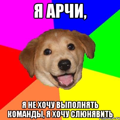 я арчи, я не хочу выполнять команды, я хочу слюнявить, Мем Advice Dog