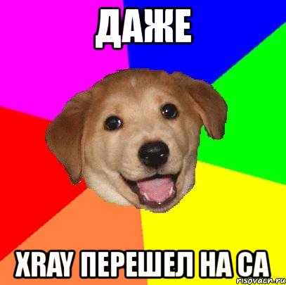 даже xray перешел на са, Мем Advice Dog