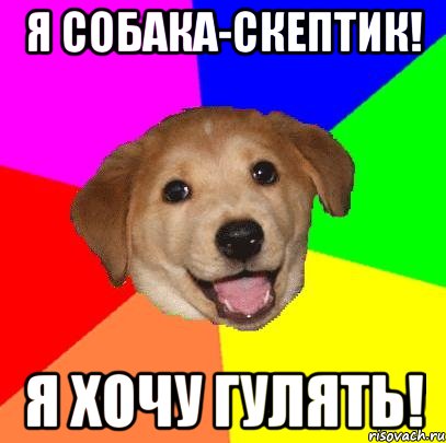 я собака-скептик! я хочу гулять!, Мем Advice Dog