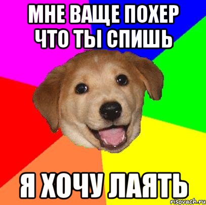 мне ваще похер что ты спишь я хочу лаять, Мем Advice Dog