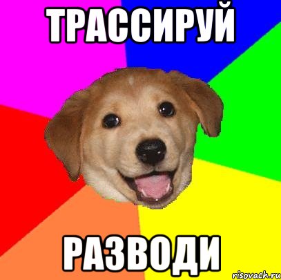 трассируй разводи, Мем Advice Dog