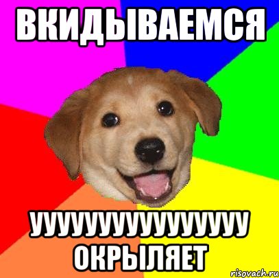 вкидываемся уууууууууууууууу окрыляет, Мем Advice Dog