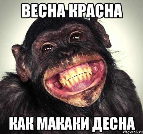 весна красна как макаки десна, Мем аернар