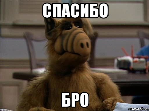 спасибо бро