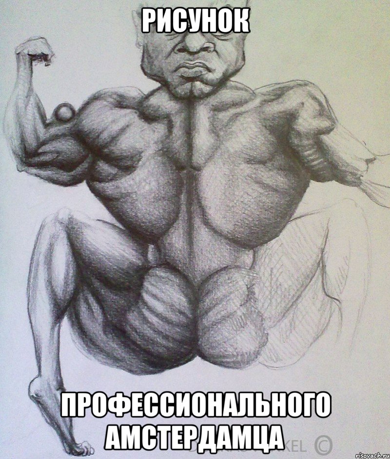 рисунок профессионального амстердамца, Мем амстердамский профи
