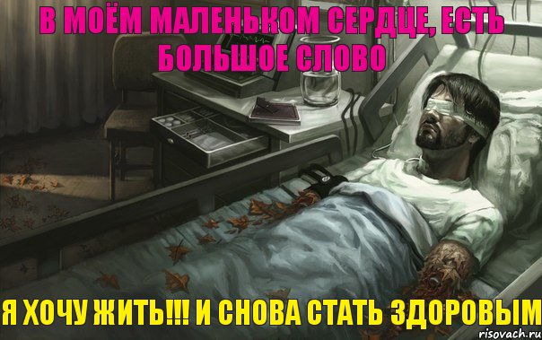 В моём маленьком сердце, есть большое слово Я хочу жить!!! и снова стать здоровым, Комикс асссаи