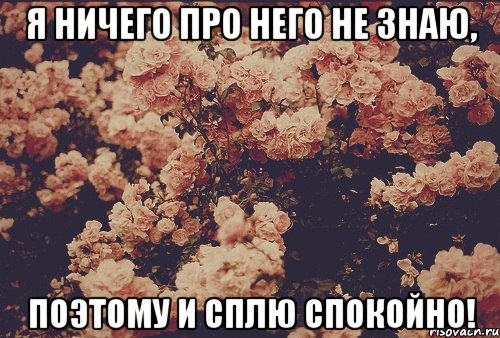 я ничего про него не знаю, поэтому и сплю спокойно!, Мем баба