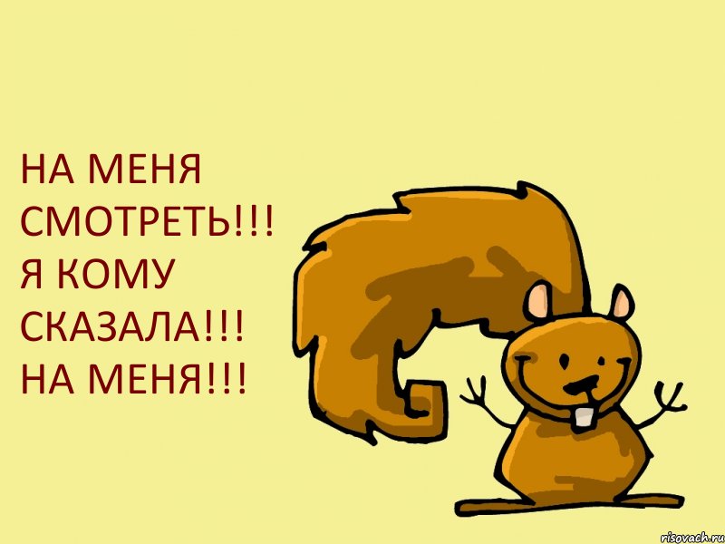 НА МЕНЯ СМОТРЕТЬ!!! Я КОМУ СКАЗАЛА!!! НА МЕНЯ!!!, Комикс  белка