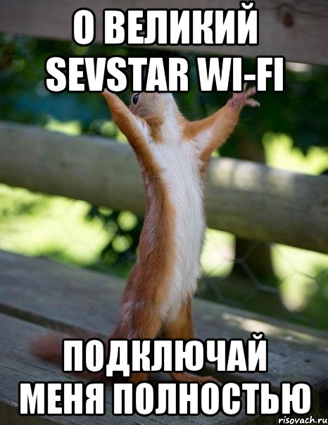 о великий sevstar wi-fi подключай меня полностью, Мем    белка молится