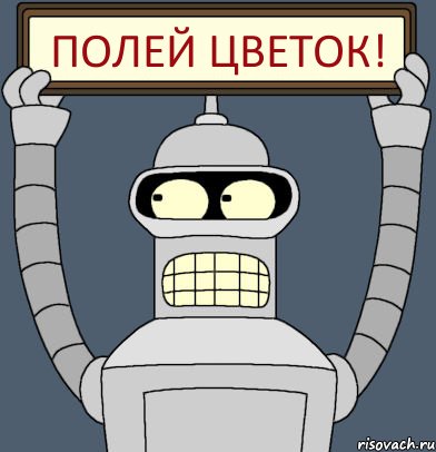 полей цветок!, Комикс Бендер с плакатом