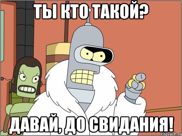ты кто такой? давай, до свидания!, Мем Бендер