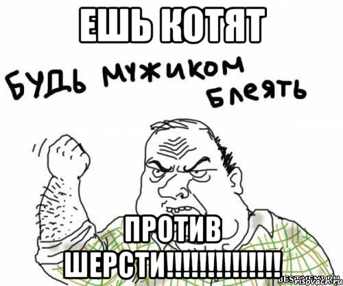 ешь котят против шерсти!!!, Мем блять