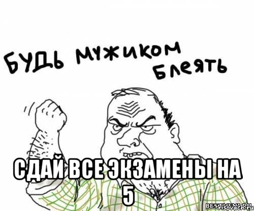  сдай все экзамены на 5, Мем блять