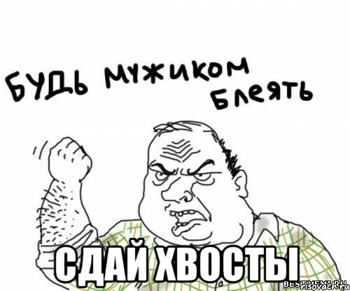  сдай хвосты, Мем блять