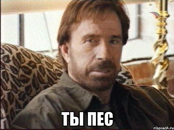  ты пес