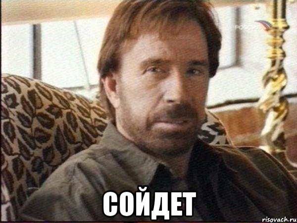  сойдет, Мем чак норрис