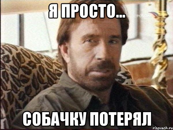 я просто... собачку потерял