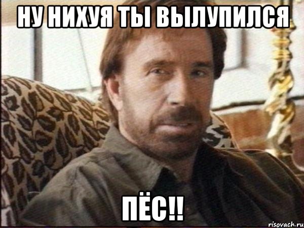 ну нихуя ты вылупился пёс!!