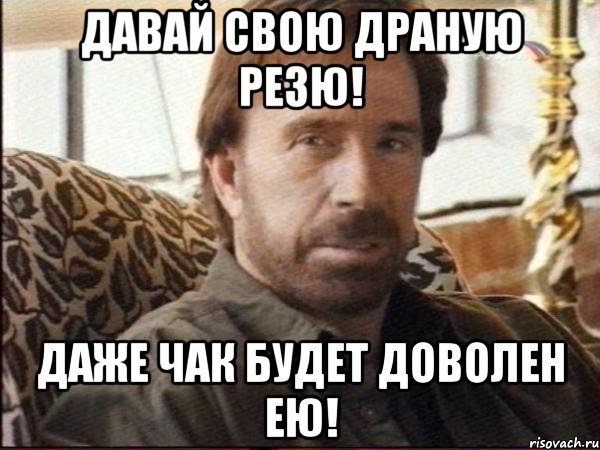 давай свою драную резю! даже чак будет доволен ею!