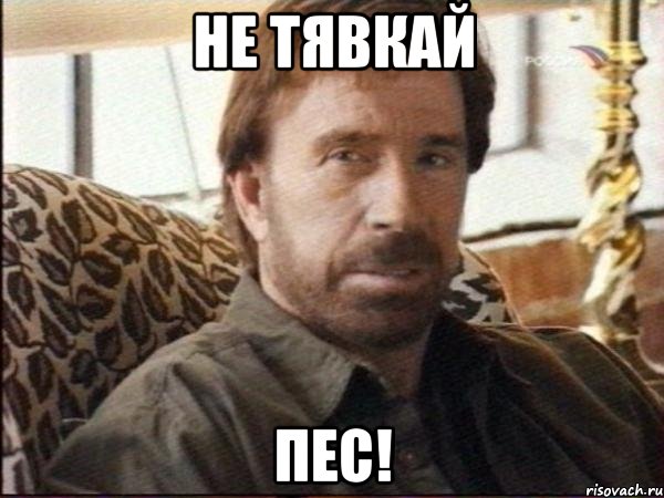 не тявкай пес!