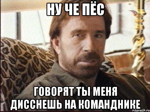 ну че пёс говорят ты меня дисснешь на команднике
