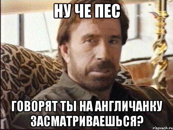 ну че пес говорят ты на англичанку засматриваешься?