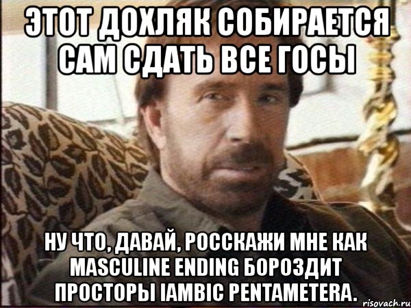 этот дохляк собирается сам сдать все госы ну что, давай, росскажи мне как masculine ending бороздит просторы iambic pentametera.