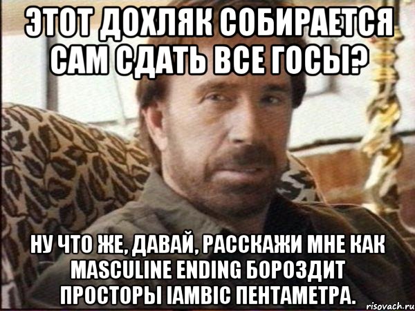 этот дохляк собирается сам сдать все госы? ну что же, давай, расскажи мне как masculine ending бороздит просторы iambic пентаметра.