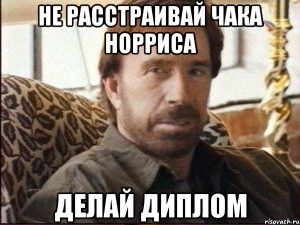 не расстраивай чака норриса делай диплом