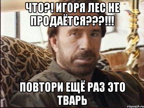 что?! игоря лес не продаётся???!!! повтори ещё раз это тварь