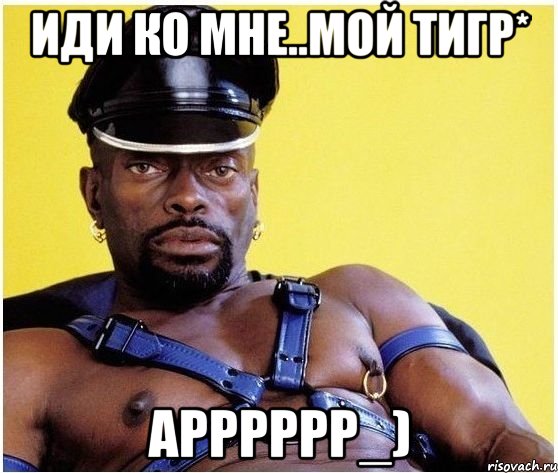 иди ко мне..мой тигр* арррррр_), Мем Черный властелин