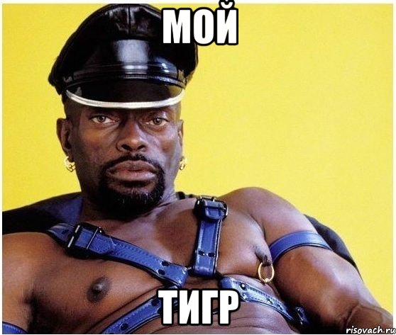 мой тигр, Мем Черный властелин