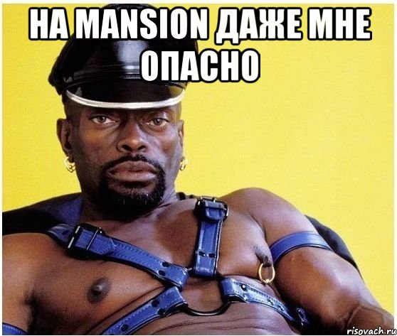на mansion даже мне опасно , Мем Черный властелин
