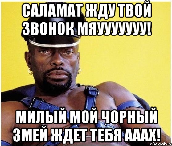 саламат жду твой звонок мяууууууу! милый мой чорный змей ждет тебя ааах!, Мем Черный властелин