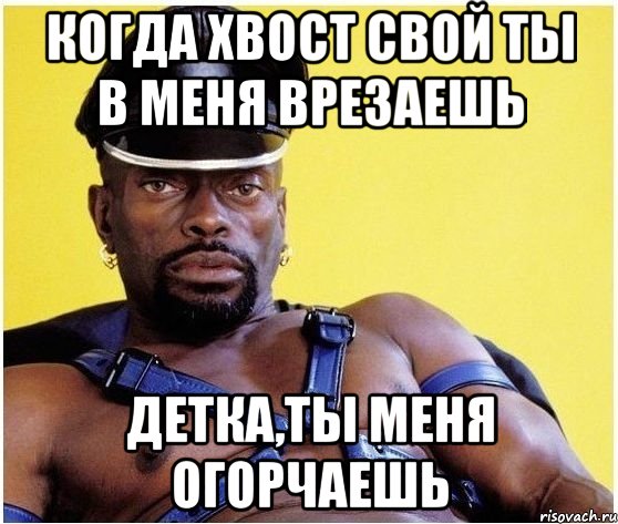 когда хвост свой ты в меня врезаешь детка,ты меня огорчаешь, Мем Черный властелин