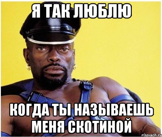 я так люблю когда ты называешь меня скотиной, Мем Черный властелин