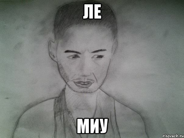 ле миу, Мем Депрессивный портрет