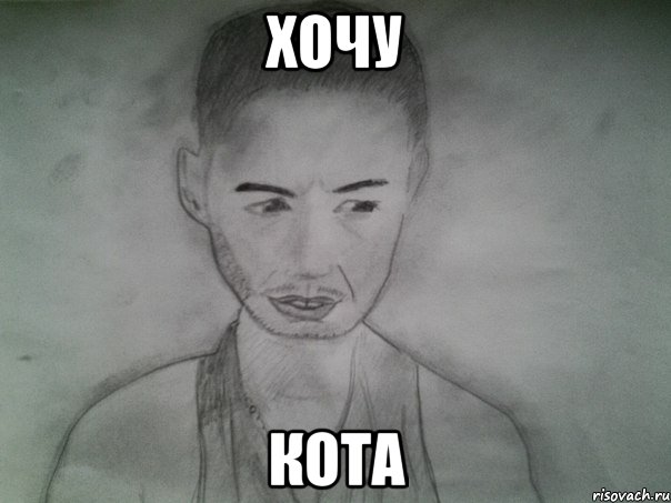 хочу кота, Мем Депрессивный портрет