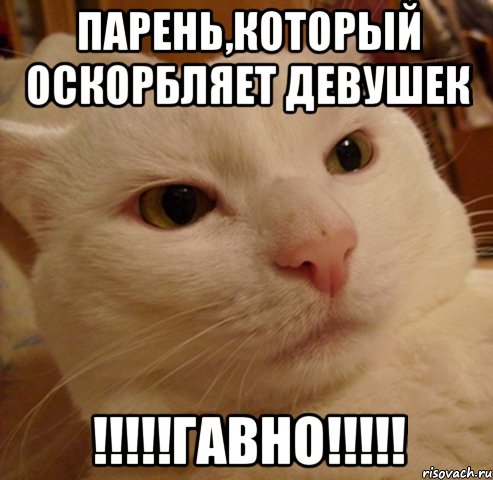 парень,который оскорбляет девушек !!!гавно!!!, Мем Дерзкий котэ