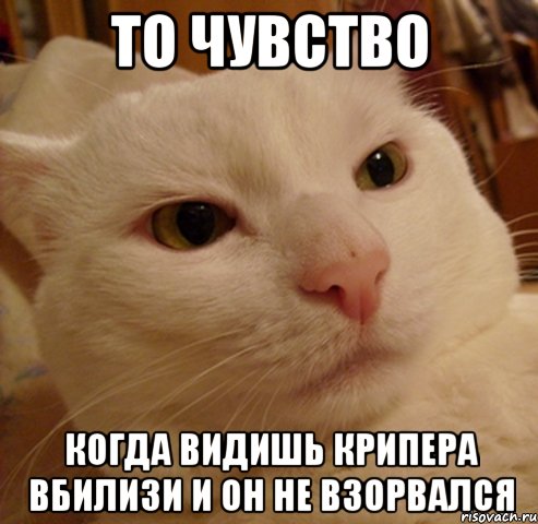 то чувство когда видишь крипера вбилизи и он не взорвался, Мем Дерзкий котэ