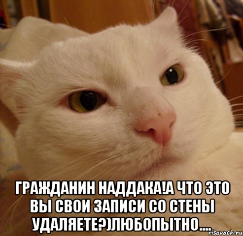  гражданин наддака!а что это вы свои записи со стены удаляете?)любопытно...., Мем Дерзкий котэ