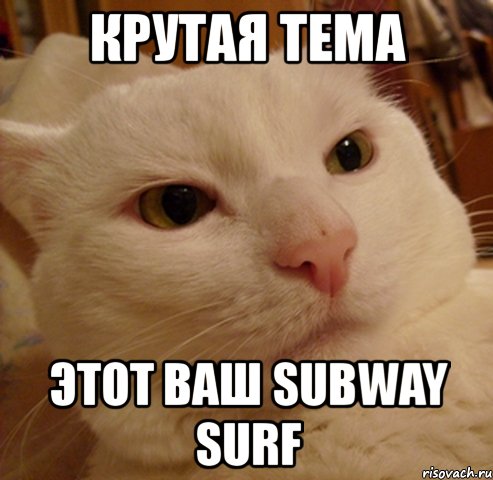 крутая тема этот ваш subway surf, Мем Дерзкий котэ